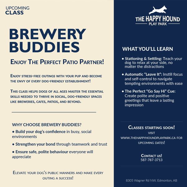 A promotion for a brewery buddies dog training class