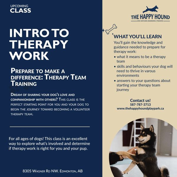 A promotion for a dog training class called Intro to Therapy Work