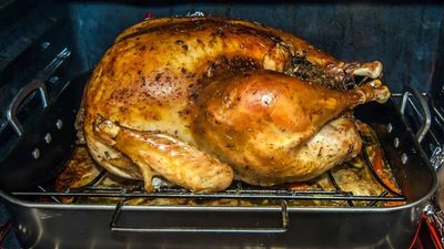 Thanksgiving dinner, holiday food portion, portion control, food plate, turkey dinner