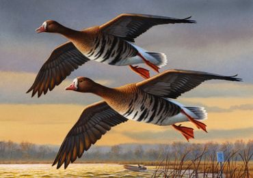 Federal Duck Stamp entry, 2021. 6th place. Greater White Fronted Geese, 7"x 10" acrylic. SOLD