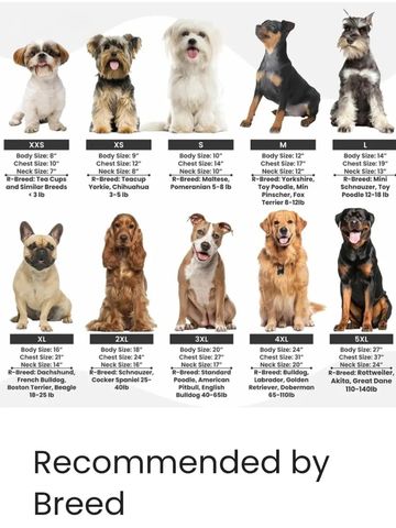Chart showing dog sizes and recommended breeds by size.