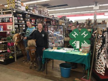 Tractor Supply Clover Days