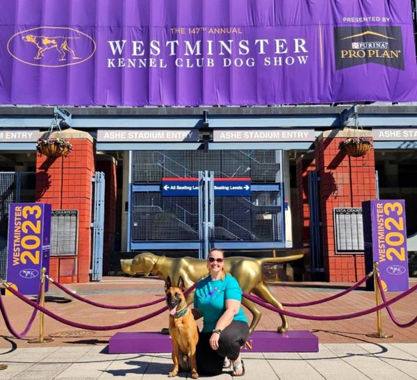 Sammie at Westminster Dock Diving with Jamison