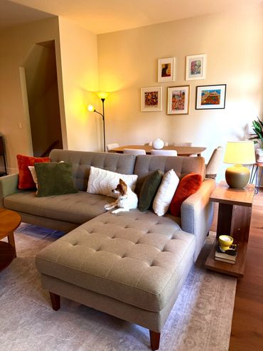 Cozy living room with a gray sectional, colorful pillows, and a small dog relaxing.