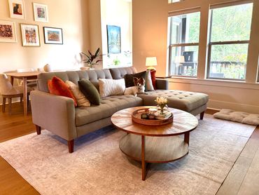 Cozy living room with a dog on a tufted sofa and a round wooden coffee table.
