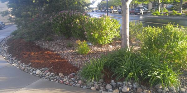 Islands Landscape Loveland