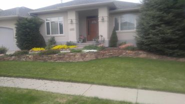 Front Yard landscape