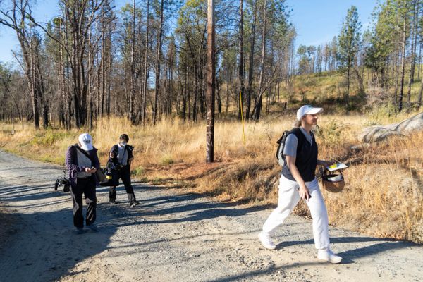 Bobbie Rae Jones is walking in front of two men on a gravel road in the forest