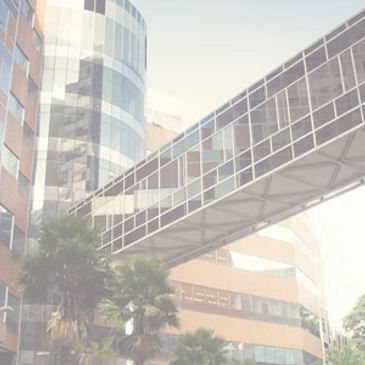 Hospital Israelita Albert Einstein