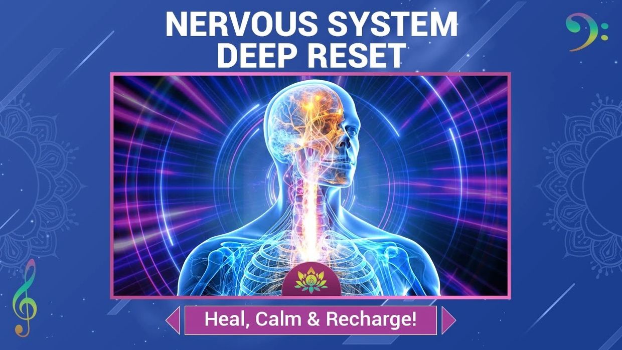 Illustration of nervous system with text about deep reset and healing.