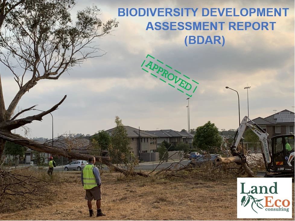 Biodiversity Development Assessment Report (BDAR) Sydney & New South Wales Land Eco COnsulting