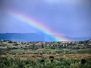 Another Colorado Magical Rainbow