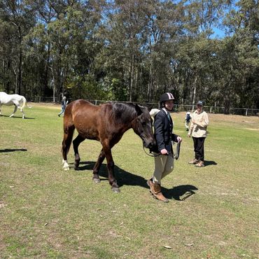A young rider leads a brown horse on a sunny day in a grassy field.