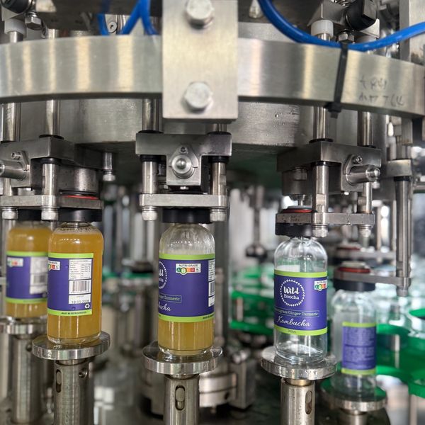 Bottles of Wild Boocha being filled automatically on bottling line