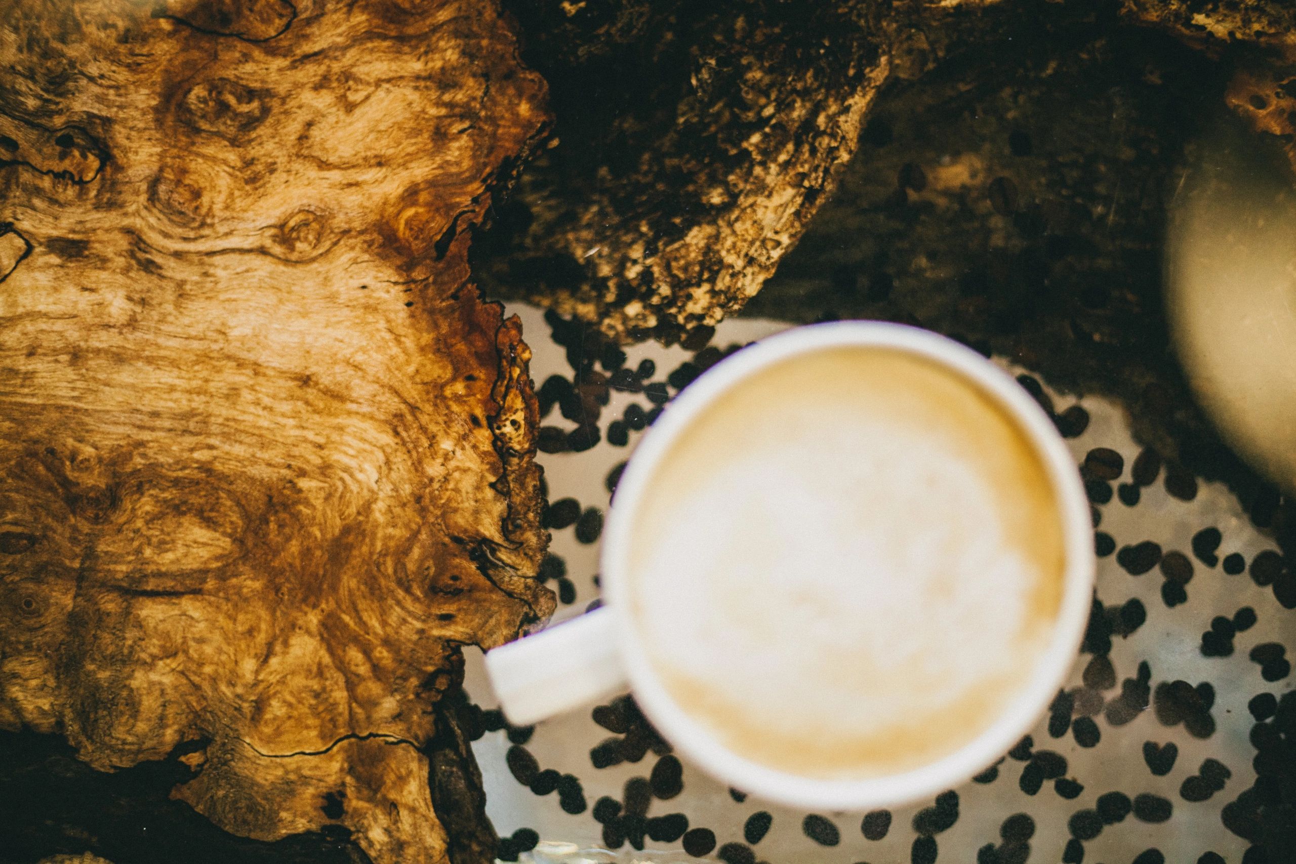 Dialogue Coffee House Coffee Topeka, Kansas