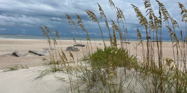 Sandy beach with grass and cloudy sky.