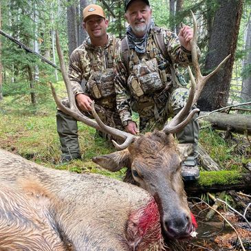 Guided Archery elk hunt in southwest Montana near Dillon with 2H Outdoors in the Beaverhead and Tend