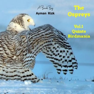 The Ospreys Vol1 Quinte Birdmania - A Book by Ayman Rizk
