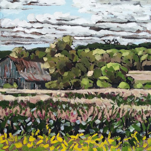 An original plein air painting by Laurie De Camillis of a barn tucked in the hills of the Grey Count