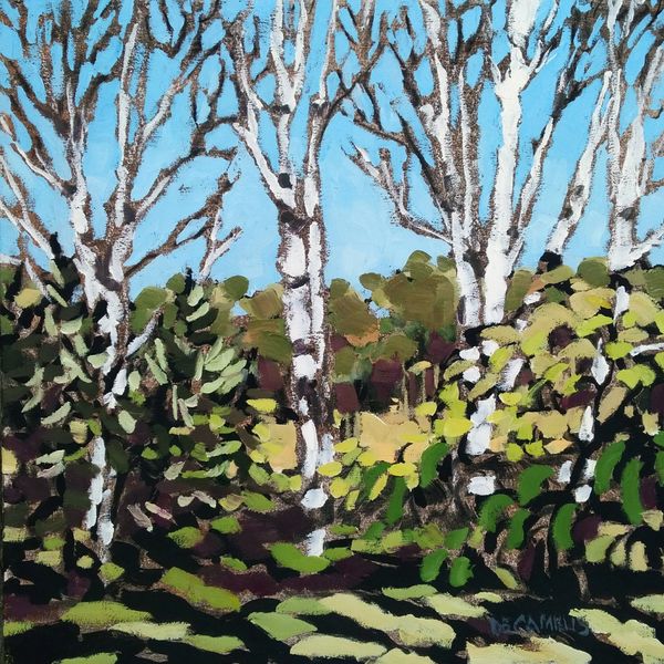 An original plein air painting by Laurie De Camillis of a white birch in a cottage setting