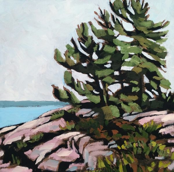 An original plein air painting by Laurie De Camillis of pines trees on the rock at Killarney Park