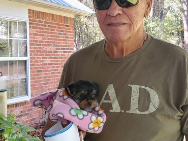 Man holding a small puppy wrapped in a pink blanket and a yellow gift bag.