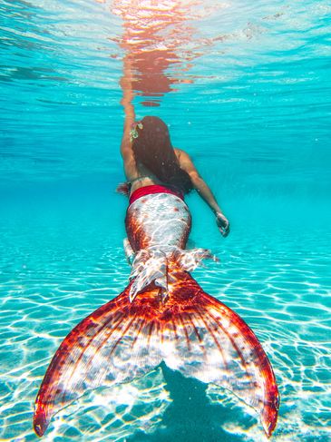 Phoenix Mermaid swimming in a pool.
