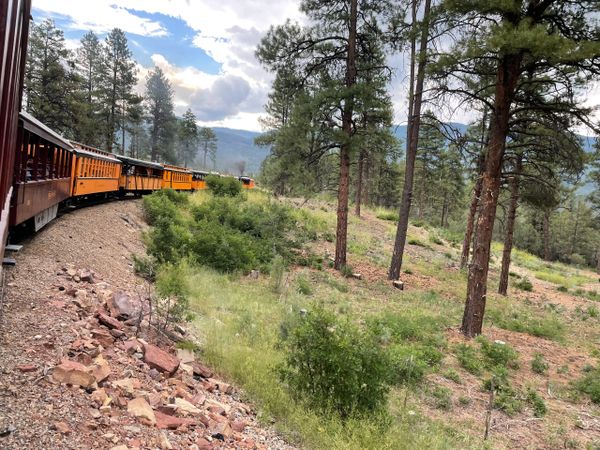 A scenic train winds through a forested, mountainous landscape under a cloudy sky.