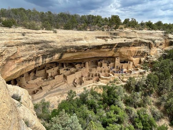 Ancient cliff dwellings nestled under a rocky overhang surrounded by trees.