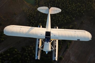 Super Cub from above