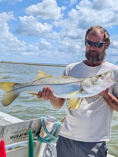 Nice chunky snook 32.25” today