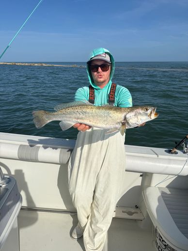 Speckled trout 25 inch  4.15 lbs