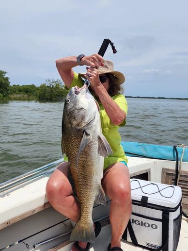 Nice big black drum 36” inches 26lbs