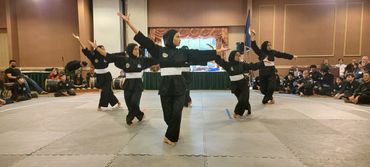 Pencak Silat