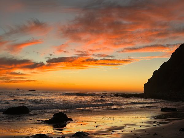 Explore Dana Point’s sunset views,  coastal hills, bluff-top trails, and native plant ecosystems.
