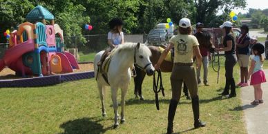horse riding, horse boarding, horse farm, horse stables, riding lessons, pony birthday party, horses