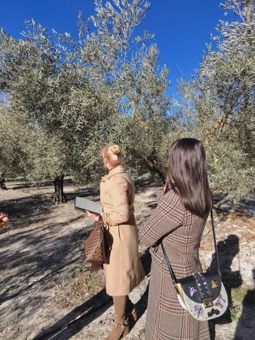 Spain off-the-beaten-path experiences