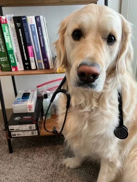 Study buddy