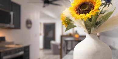 Bright sunflowers in a white vase on a kitchen counter.
