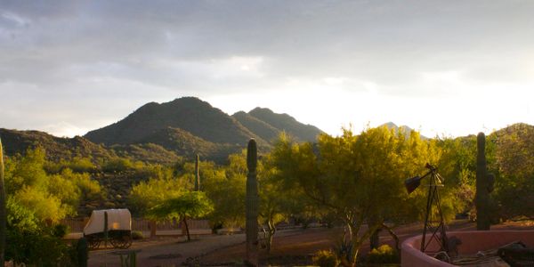 Arizona, Sun Rise, Cave Creek, AZ, Tranquil, Calm