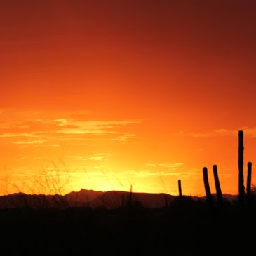 AZ, Sunset, Fire Sky, Arizona, Cave Creek