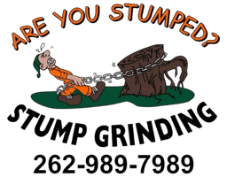 Are You Stumped? Stump Grinding