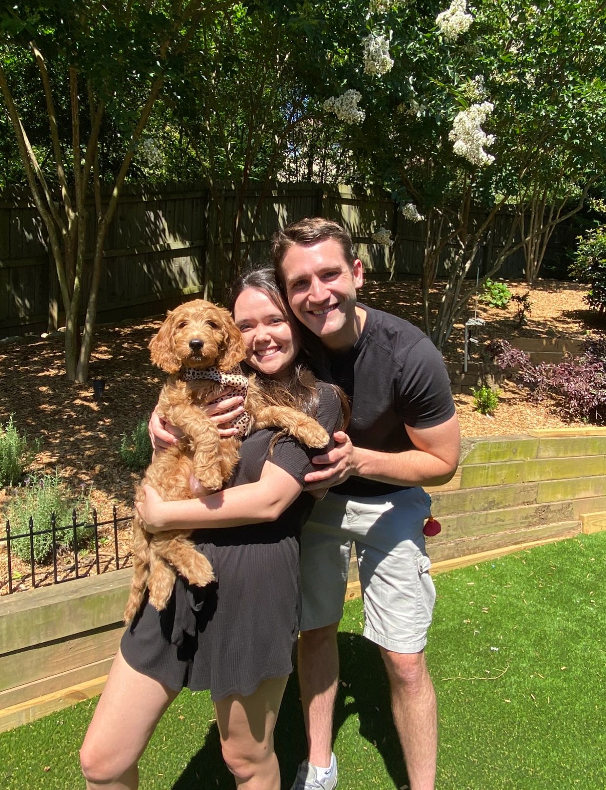 CAROLINE & DANNY PICK UP MISSY "MISS LADY" FROM THE BRIDGERTON LITTER