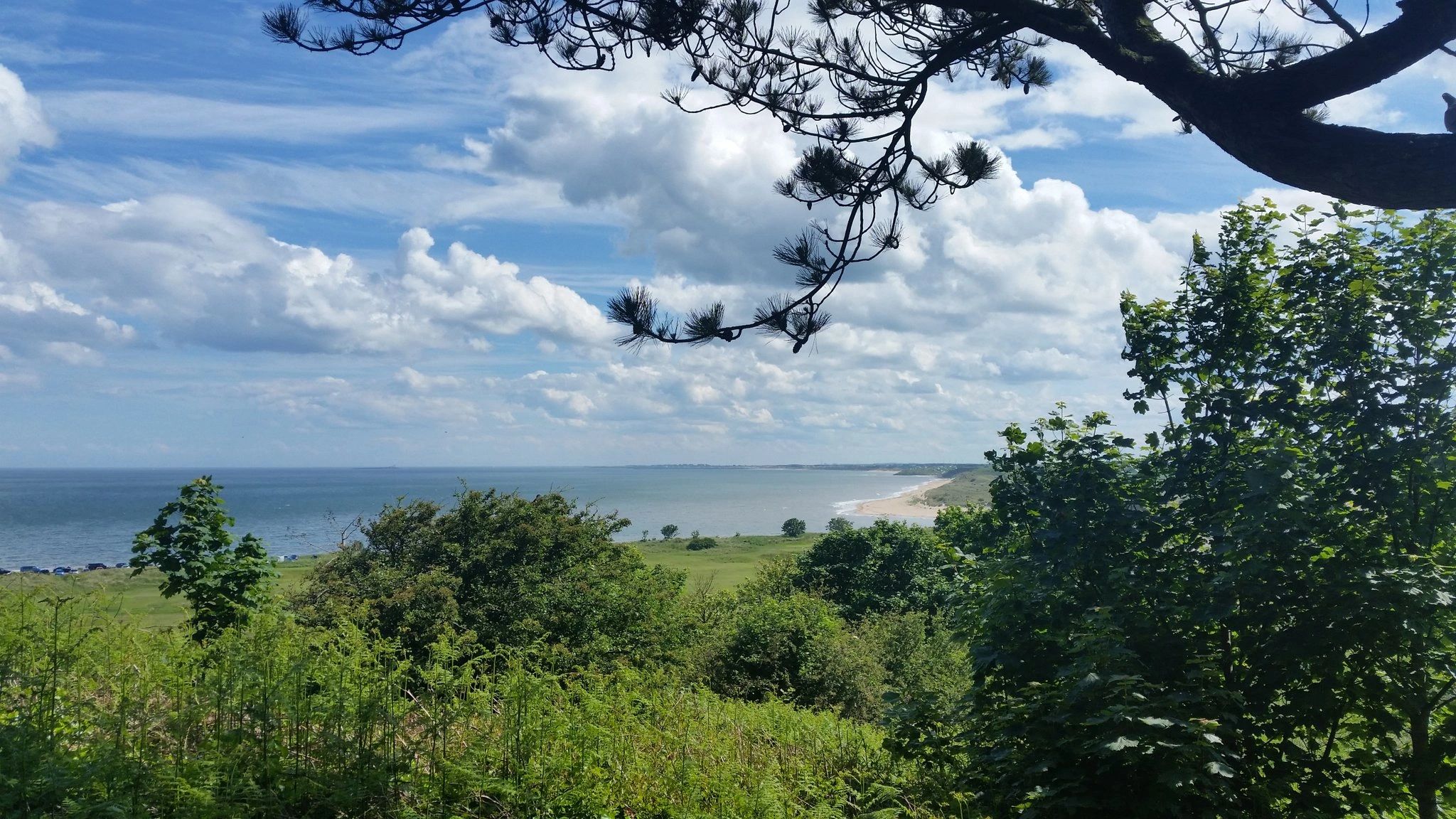 A view of the beach from Alnmouth friary