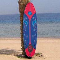 6' foam surf board rentals,Sandy Andy's Rentals,New Smyrna Beach,Ormond beach,Flagler Beach,Daytona