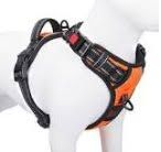 No-Pull Dog Harness for Leash Training