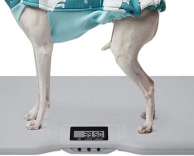 Image taken from Amazon of the scale purchased.
