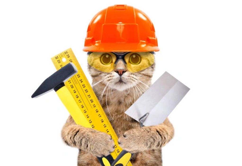 Bengal Cat Wearing Orange Construction Hat and Holding Construction Tools
