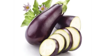 One of the most popular varieties of eggplant in North America looks like a pear-shaped egg, a ch
