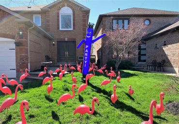 A blue Dancing Inflatable Air Puppet on a lawn display surrounded by pink flamingos